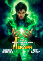 Идеальный мир для Лекаря 29